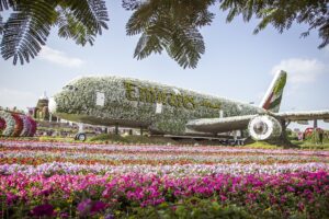 Esperienze da vivere a Dubai