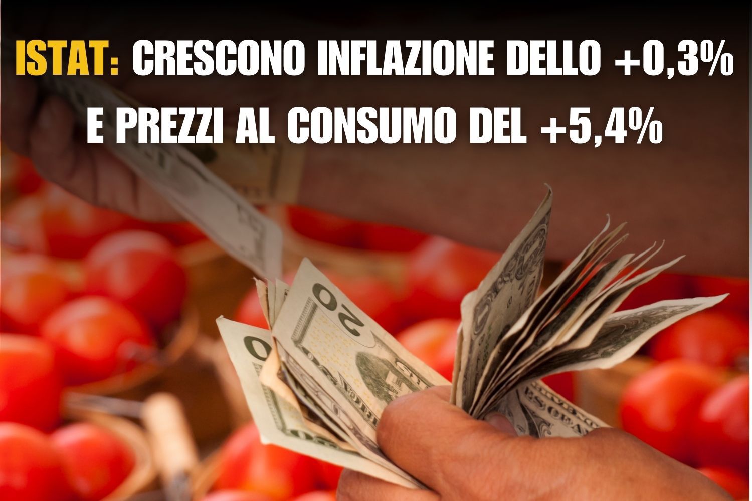 Crisi Italia